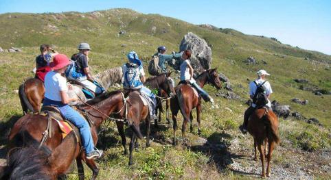 Accompagnateur de Sortie Equestre Accompagnateur de Sortie Equestre